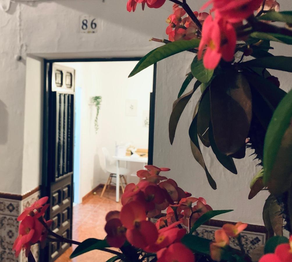 Casa Rural Dian - Centro Torrox Eksteriør billede